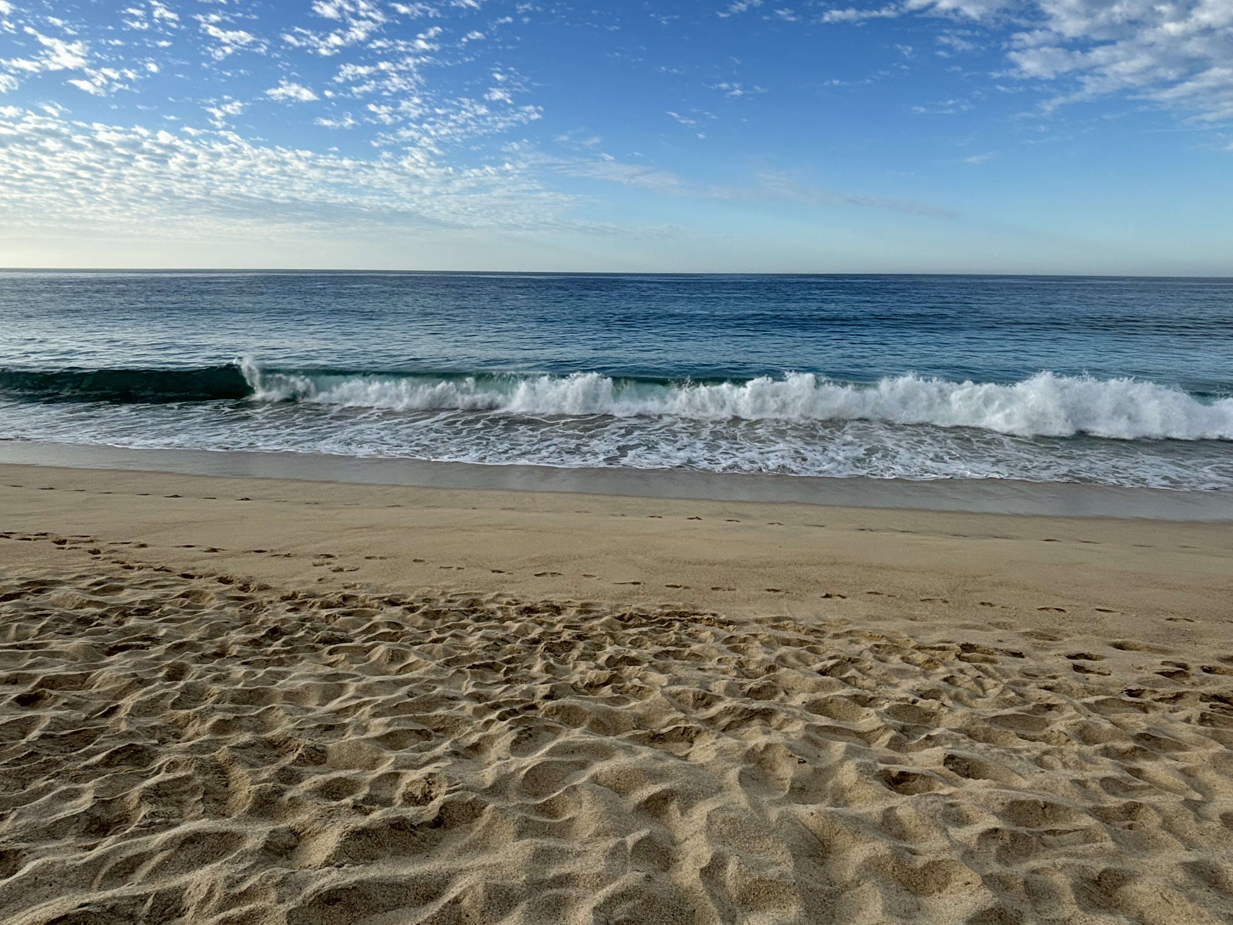 le blanc los cabos resort beach