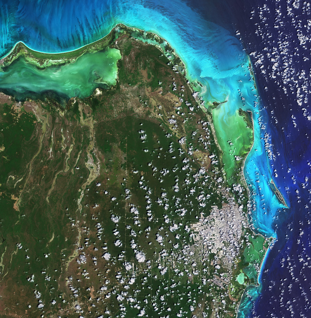 cancun overheard map displaying the sargassum seasweed